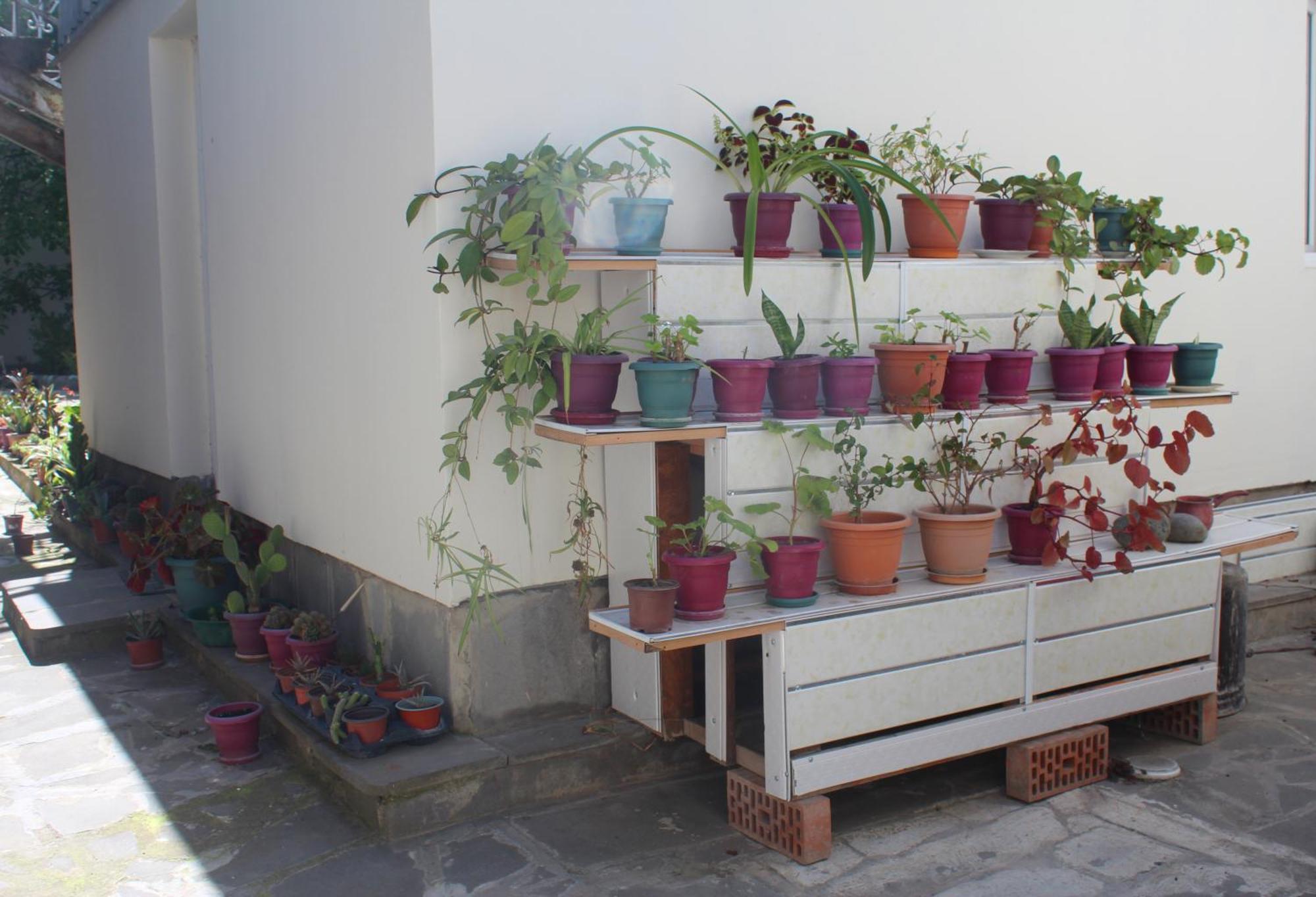 גורי Guesthouse Levani מראה חיצוני תמונה