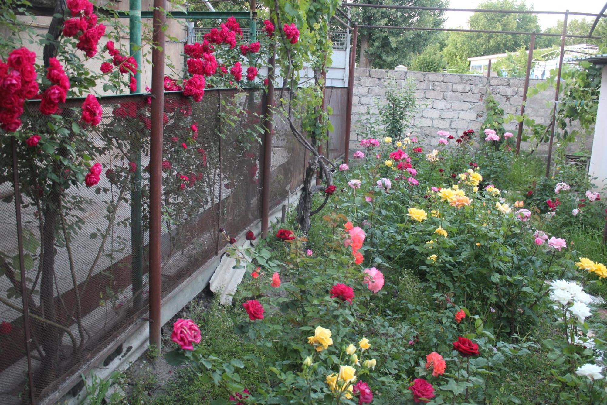 גורי Guesthouse Levani מראה חיצוני תמונה